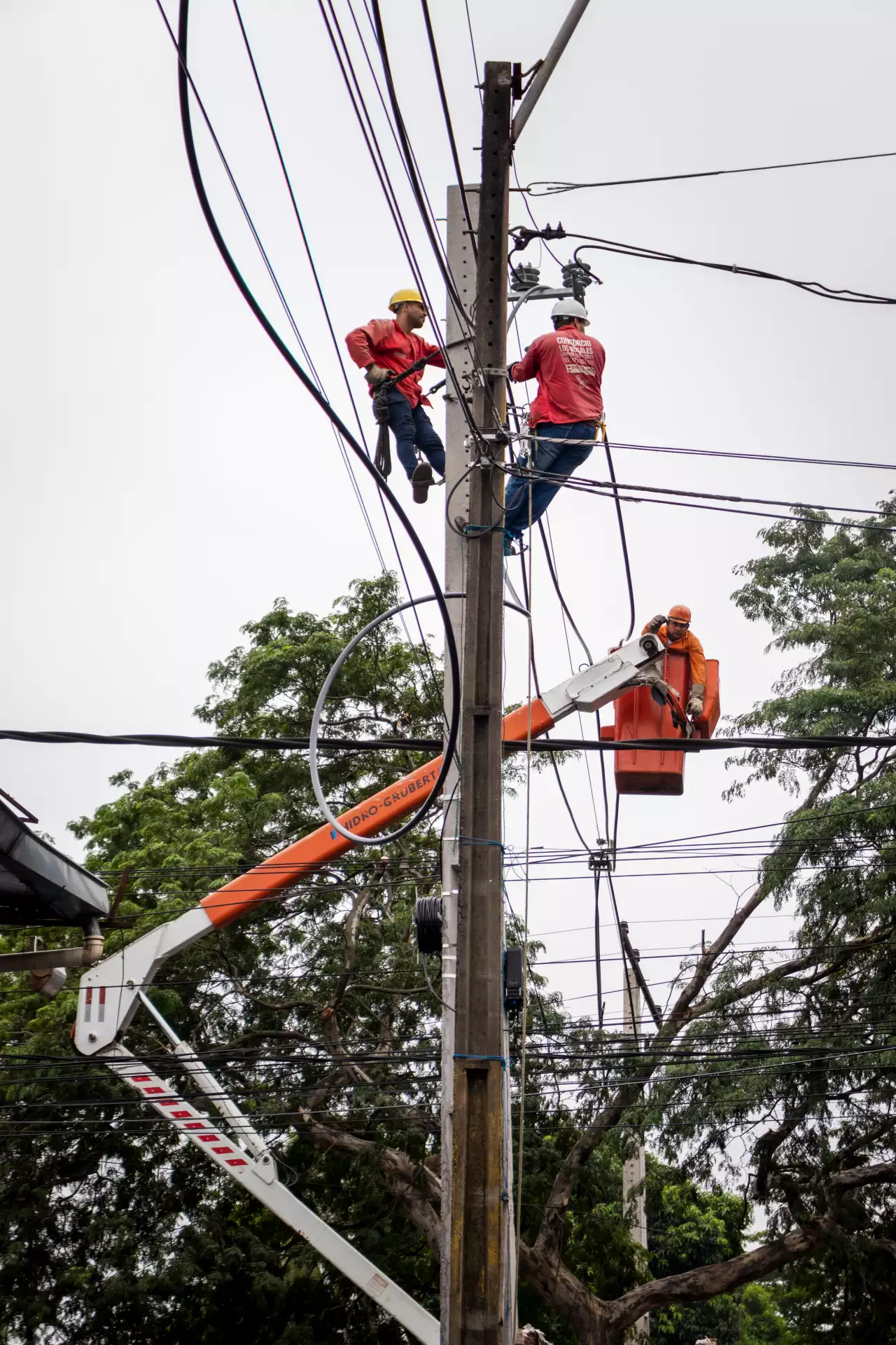 desarrollo energético